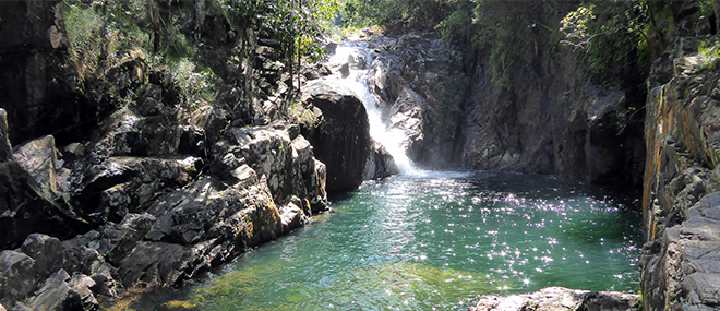 Eungella National Park