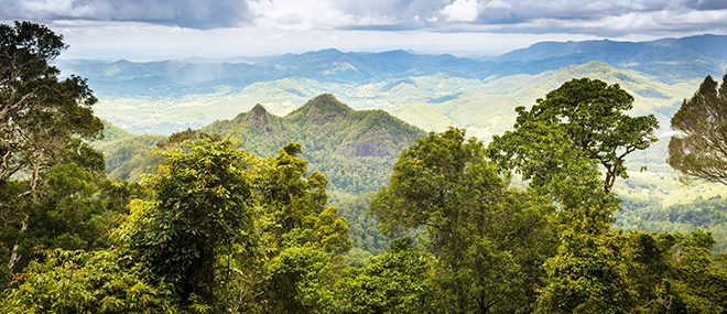 Gold Coast Hinterland