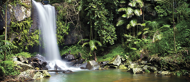 Waterfall, Sunshine Coast Hinterland