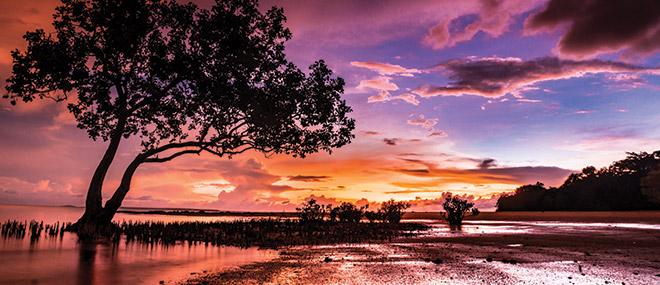Darwin scenery