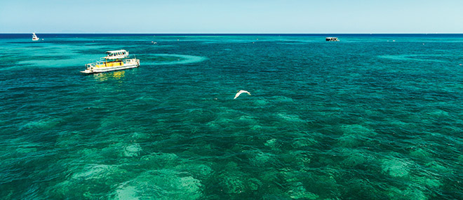 Great Barrier Reef, Cairns