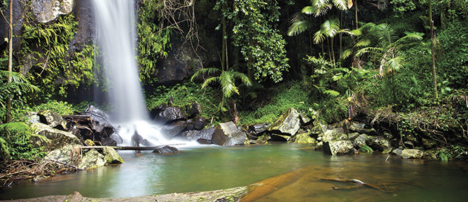 Gold Coast Hinterland waterfalls