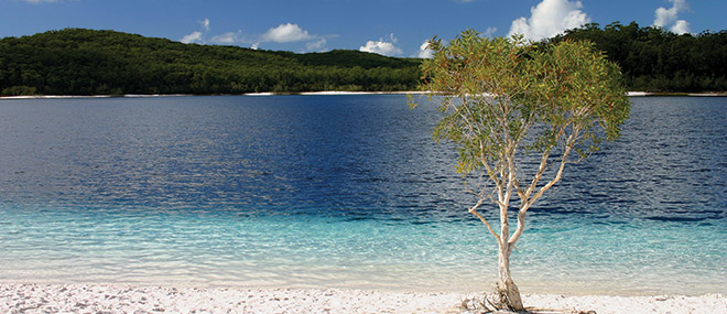 Fraser Island