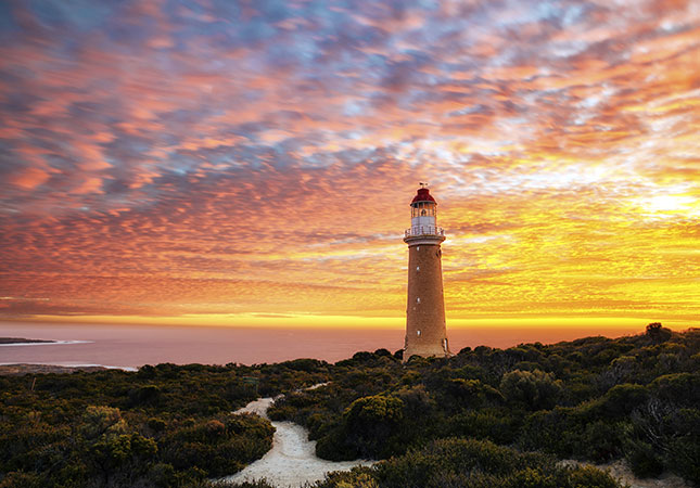 Top 4 reasons to visit the beautiful Kangaroo Island