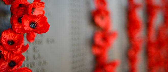 Poppies on the Australian War Memorials