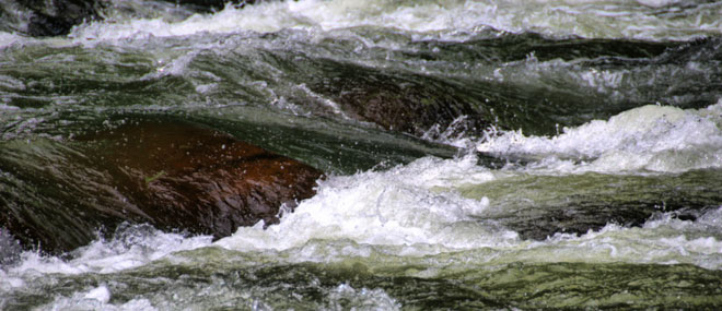 Tully River, Far North Queensland