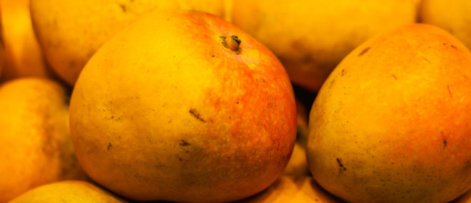 Mangoes, Bowen, Queensland
