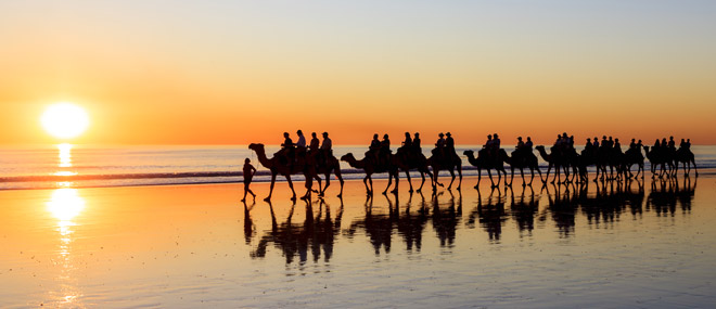 Camel rides at Cable Beach