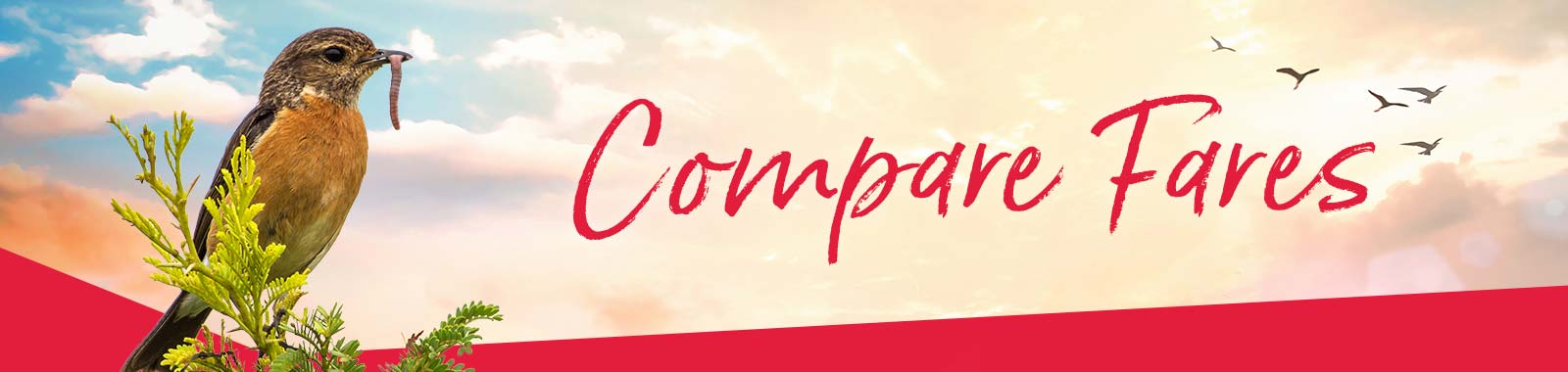 Compare Fares