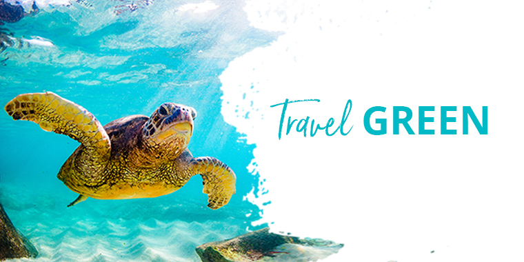 travel green greyhound australia blue green travel