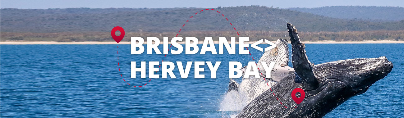 Travel between Brisbane and Hervey Bay