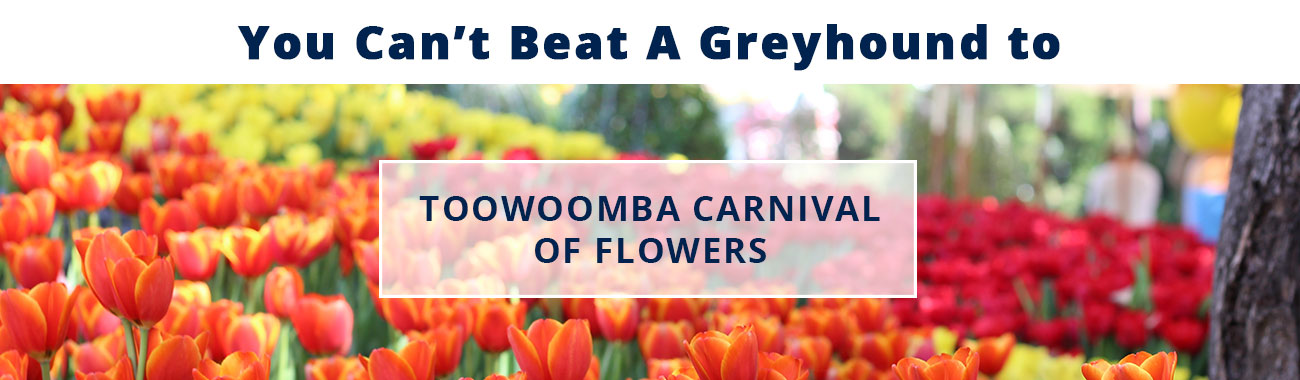 Toowoomba Carnival of Flowers
