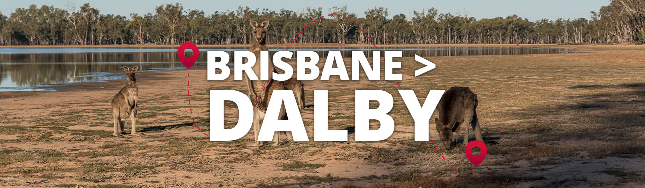 Brisbane to Dalby Bus
