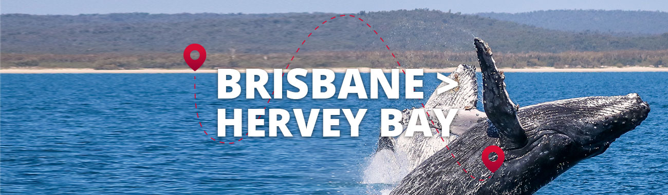 Brisbane to Hervey Bay Bus