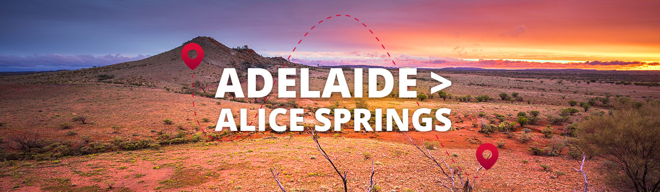 Adelaide to Alice Springs Bus