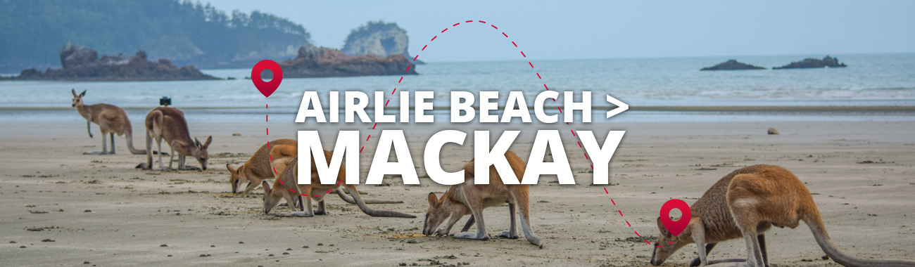 Airlie Beach to Mackay Bus
