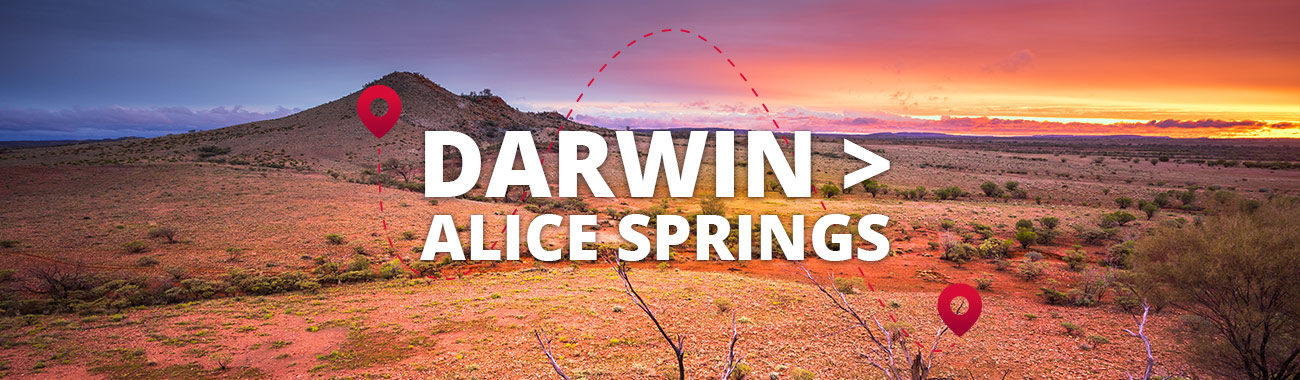 Darwin to Alice Springs Bus