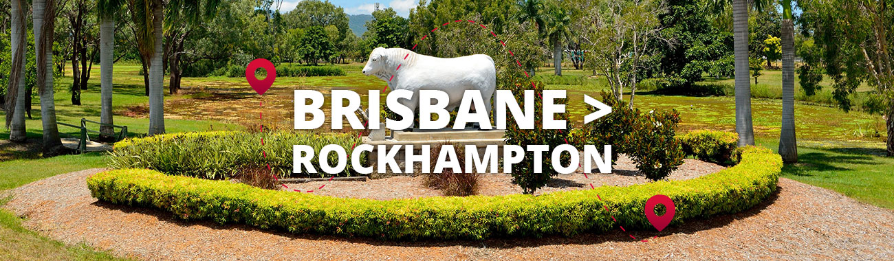 Brisbane to Rockhampton Bus