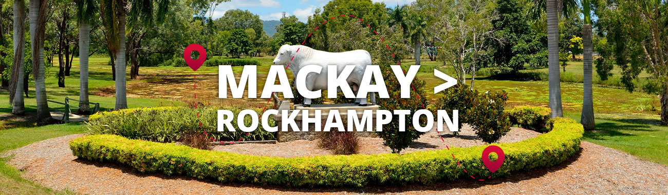 Mackay to Rockhampton Bus