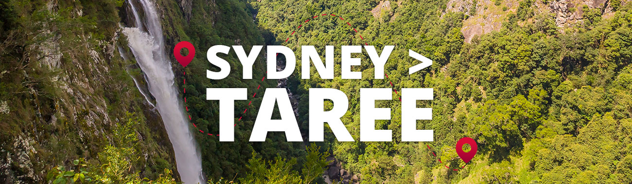 Sydney to Taree Bus