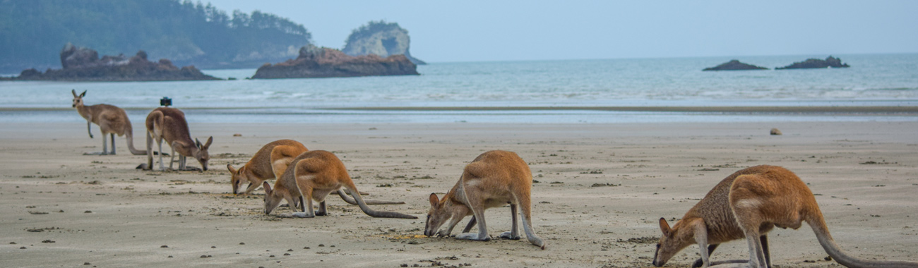 Things to do in Mackay