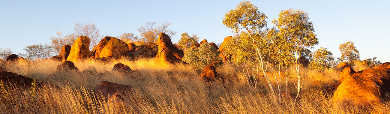 Things to do in Tennant Creek