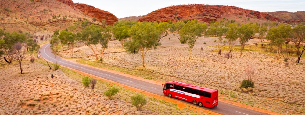 Coach vs. Plane Travel