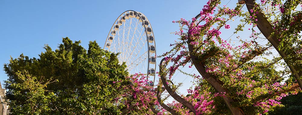 Brisbane to Cairns and Everywhere in Between