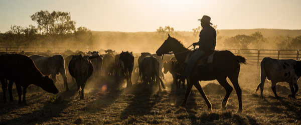 Australian Stockman’s Hall of Fame & Outback Heritage Centre