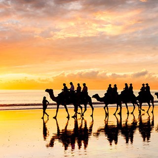 7 Things You Need to See in Western Australia