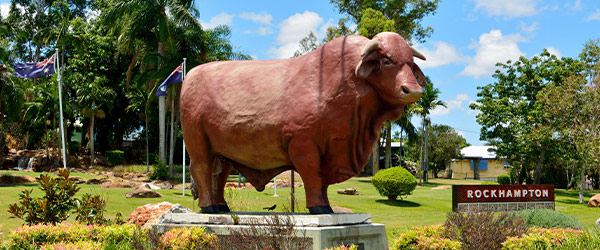 The Big Bulls Rockhampton