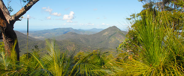 Mount Archer National Park