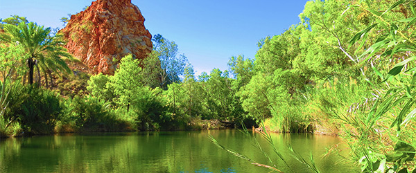 Palm Springs Nature Reserve