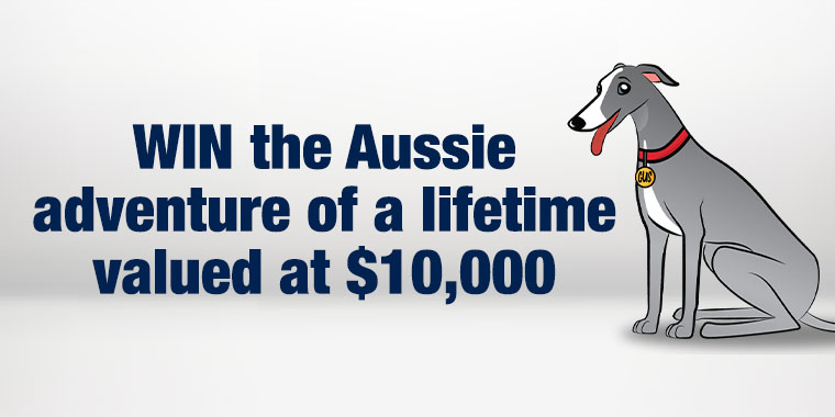 greyhound luggage allowance