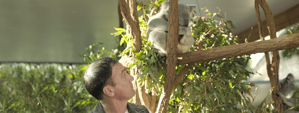 9 Iconic Aussie Things To See & Do