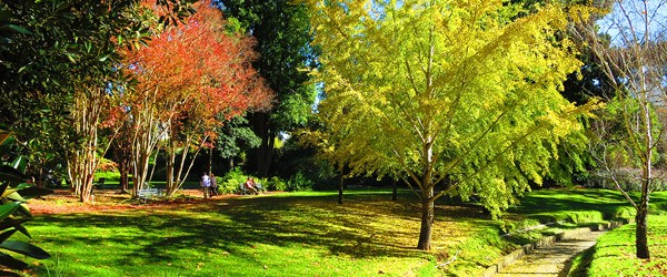 Adelaide Botanic Gardens