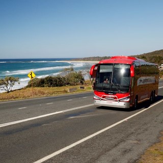 Government blow to bus companies may be terminal