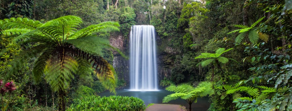 places to visit north qld