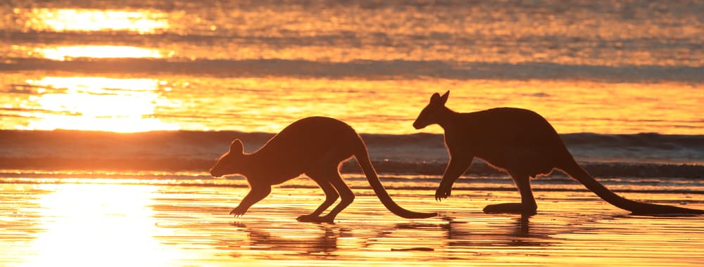 Top 9 Things To Do In Central Queensland & Mackay