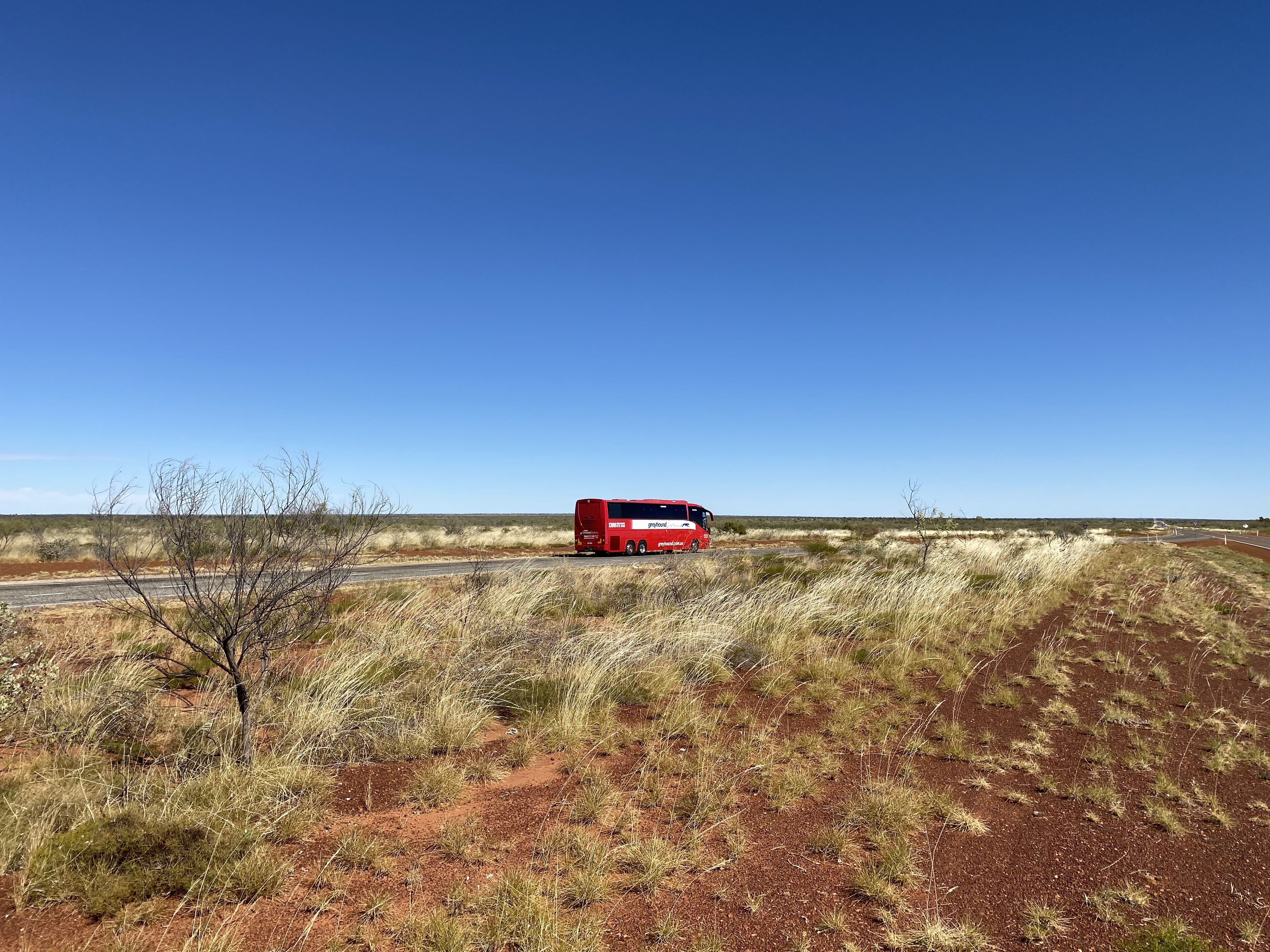 Greyhound Australia awarded six new Queensland services