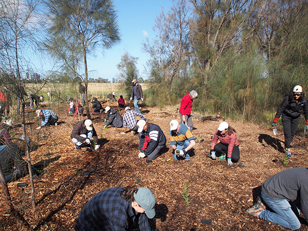 landcare australia - hero image