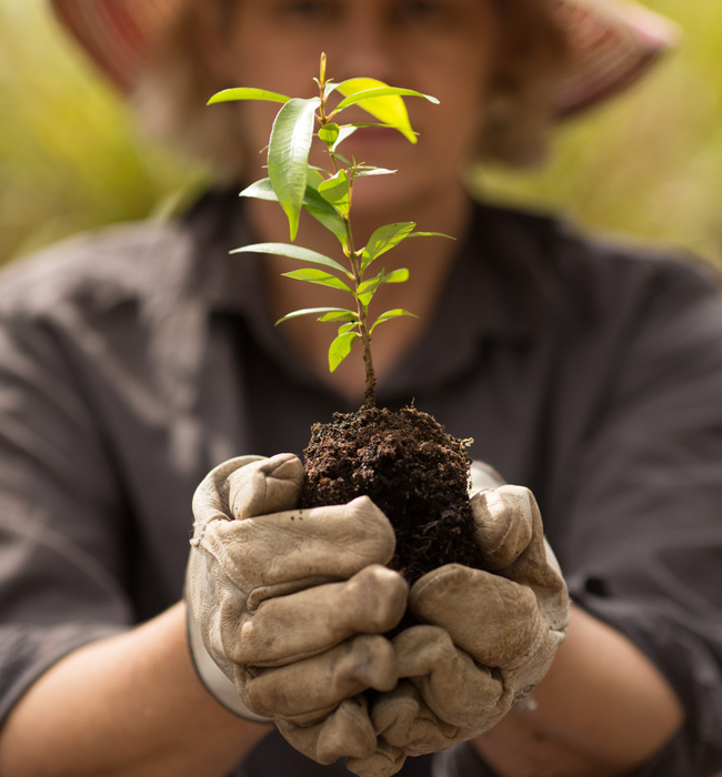 landcare-australia