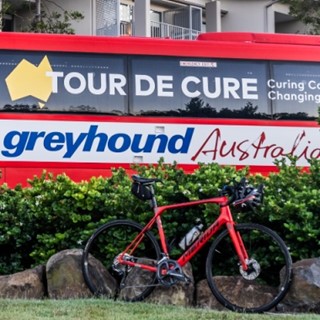 Greyhound Australia hits the road for Tour de Cure