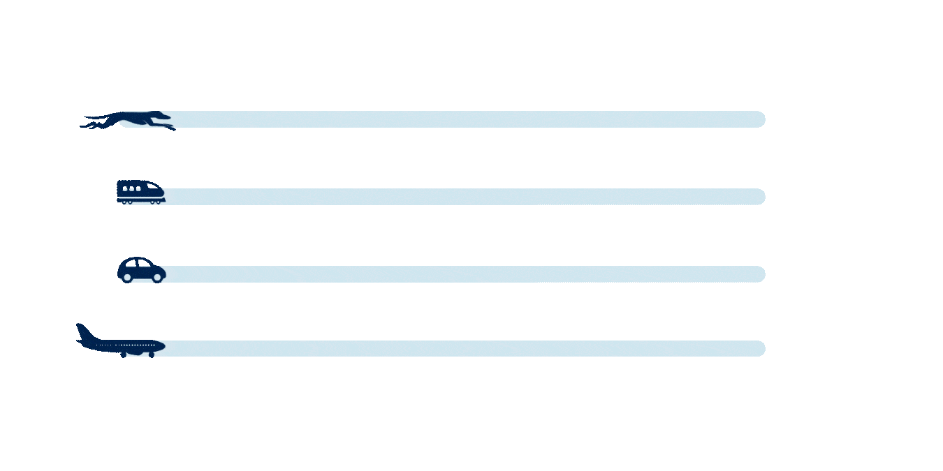 Transport comparison
