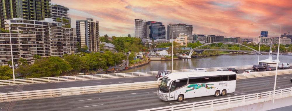 Greyhound Australia prepares for Tropical Cyclone Alfred