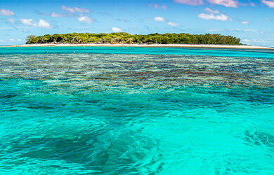lady-musgrave-island