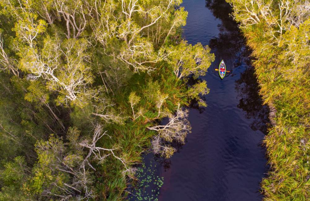 Noosa Everglades