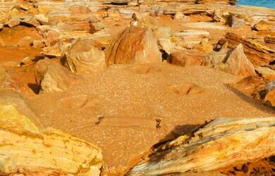 broome-dinosaur-footprints-600×250