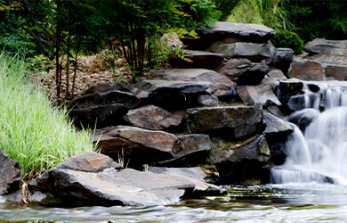 bundaberg-botanic-gardens