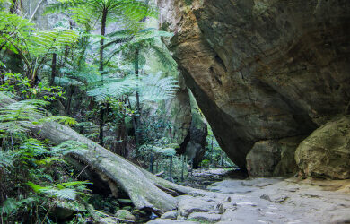 canarvon-gorge